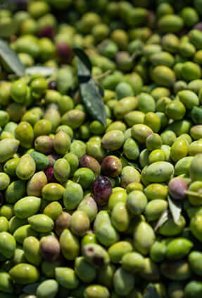Olives