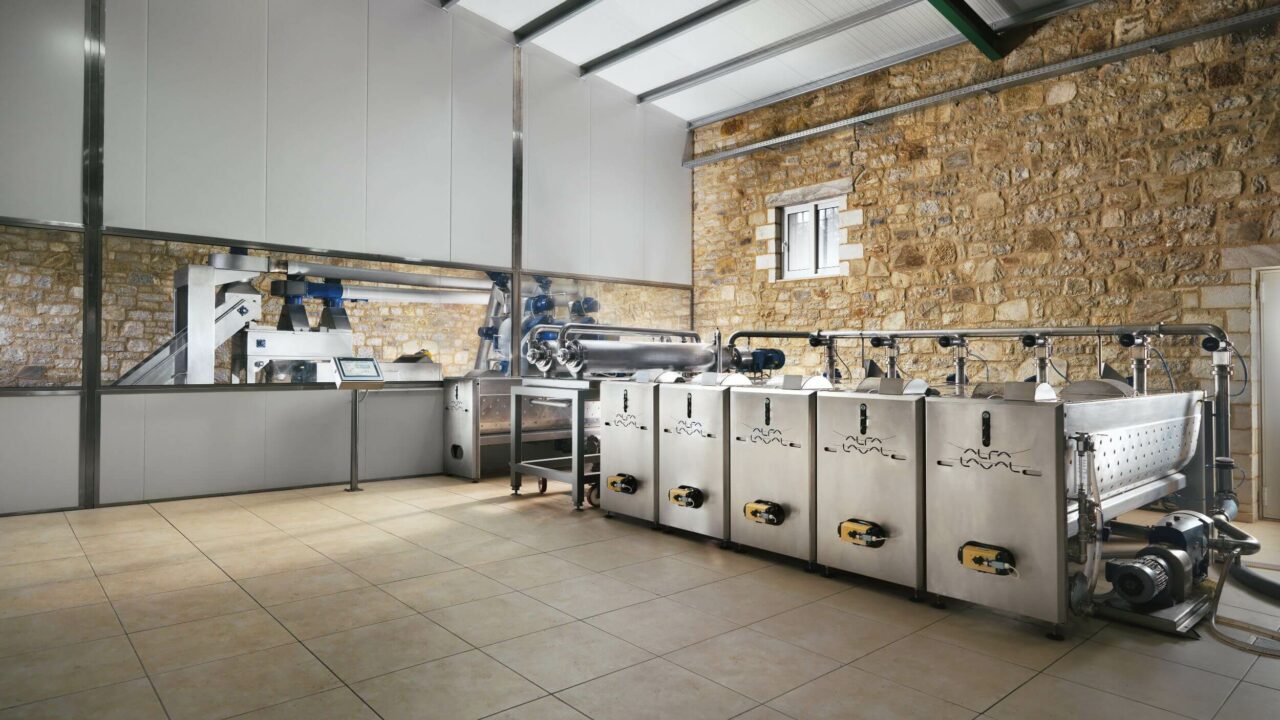 One olive factory 7